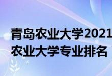 青島農(nóng)業(yè)大學(xué)2021年全國(guó)排名（2022年青島農(nóng)業(yè)大學(xué)專(zhuān)業(yè)排名）