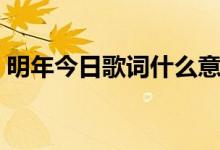明年今日歌詞什么意思（明年今日歌詞含義）