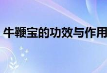 牛鞭寶的功效與作用（牛鞭牛寶功效與作用）