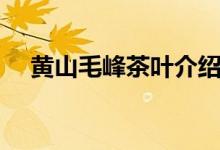 黃山毛峰茶葉介紹（黃山毛峰茶的簡(jiǎn)介）