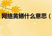 網(wǎng)絡(luò)黃鱔什么意思（網(wǎng)絡(luò)黃鱔的意思是什么）