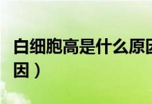 白細(xì)胞高是什么原因小兒（白細(xì)胞高是什么原因）