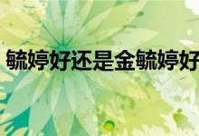 毓婷好還是金毓婷好（毓婷好還是金毓婷好）