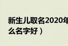新生兒取名2020年好名字大全（新生兒叫什么名字好）