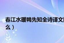 春江水暖鴨先知全詩譯文圖（春江水暖鴨先知全詩翻譯是什么）