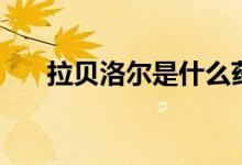 拉貝洛爾是什么藥（拉貝洛爾是什么）