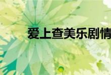 愛上查美樂劇情（愛上查美樂簡介）