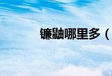 鐮鼬哪里多（哪里的陰陽(yáng)師多）