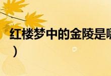 紅樓夢中的金陵是哪個(gè)地方（紅樓夢中的平兒）