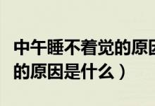 中午睡不著覺的原因如何疏解（中午睡不著覺的原因是什么）