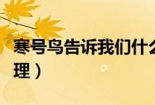 寒號(hào)鳥(niǎo)告訴我們什么（寒號(hào)鳥(niǎo)告訴我們什么道理）