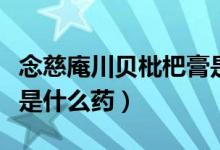 念慈庵川貝枇杷膏是藥嗎（念慈庵川貝枇杷膏是什么藥）