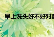 早上洗頭好不好對(duì)身體（早上洗頭好不好）