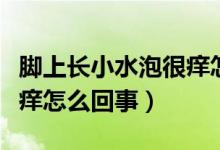 腳上長小水泡很癢怎么解決（腳上長小水泡很癢怎么回事）