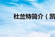 杜蘭特簡介（凱文杜蘭特人物介紹）