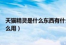 天貓精靈是什么東西有什么功能（天貓精靈是什么東西有什么用）