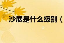 沙展是什么級別（沙展相當(dāng)于國內(nèi)什么）