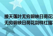 接天蓮葉無窮碧映日荷花別樣紅描寫的是那個(gè)湖（接天蓮葉無窮碧映日荷花別樣紅描寫哪里）