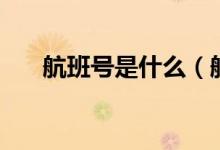 航班號(hào)是什么（航班號(hào)是什么怎么看）