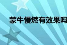 蒙牛慢燃有效果嗎（蒙牛慢燃有效果嗎）