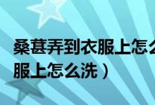桑葚弄到衣服上怎么洗比較干凈（桑葚弄到衣服上怎么洗）