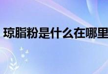 瓊脂粉是什么在哪里買（瓊脂粉是什么東西）