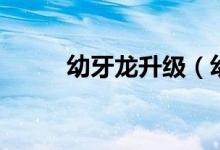 幼牙龍升級（幼牙龍第幾級進化）