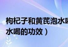 枸杞子和黃芪泡水喝的功效（枸杞子和黃芪泡水喝的功效）