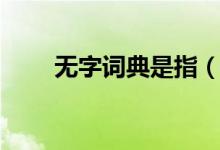 無字詞典是指（無字詞典是指什么）