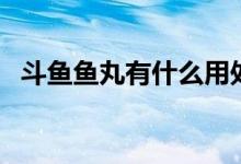 斗魚魚丸有什么用處（斗魚魚丸有什么用）