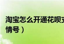 淘寶怎么開通花唄支付功能（淘寶怎么開通親情號）