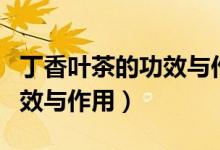 丁香葉茶的功效與作用及禁忌（丁香葉茶的功效與作用）
