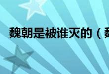 魏朝是被誰滅的（魏朝是被哪個(gè)國家滅的）