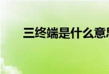 三終端是什么意思（szd是什么意思）