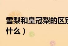 雪梨和皇冠梨的區(qū)別（雪梨和皇冠梨的區(qū)別是什么）