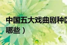 中國(guó)五大戲曲劇種區(qū)別（中國(guó)五大戲曲劇種有哪些）