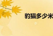 豹貓多少米（豹貓好養(yǎng)嗎）