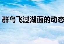 群鳥飛過湖面的動(dòng)態(tài)描寫（這五句寫得很好）