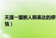 天涯一望斷人腸表達的感情（斷腸人在天涯斷腸表達什么感情）