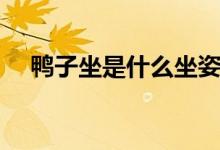 鴨子坐是什么坐姿（鴨子坐是什么坐姿）