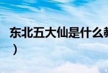 東北五大仙是什么教（東北五大仙是什么動物）