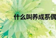 什么叫養(yǎng)成系偶像（什么叫養(yǎng)火花）