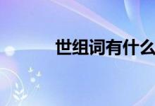 世組詞有什么（世組詞有哪些）
