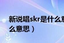 新說唱skr是什么意思（說唱里面的skr是什么意思）