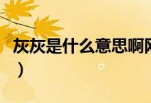 灰灰是什么意思啊網(wǎng)絡(luò)（灰灰是什么意思微信）