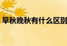 早秋晚秋有什么區(qū)別（早秋晚秋區(qū)別有哪些）