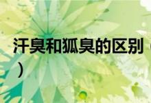 汗臭和狐臭的區(qū)別（汗臭和狐臭的區(qū)別有哪些）