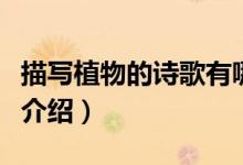 描寫植物的詩歌有哪些（關(guān)于描寫植物的詩歌介紹）