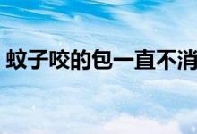 蚊子咬的包一直不消退（蚊子咬的包怎么辦）