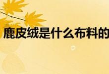 鹿皮絨是什么布料的呢（鹿皮絨是什么意思）